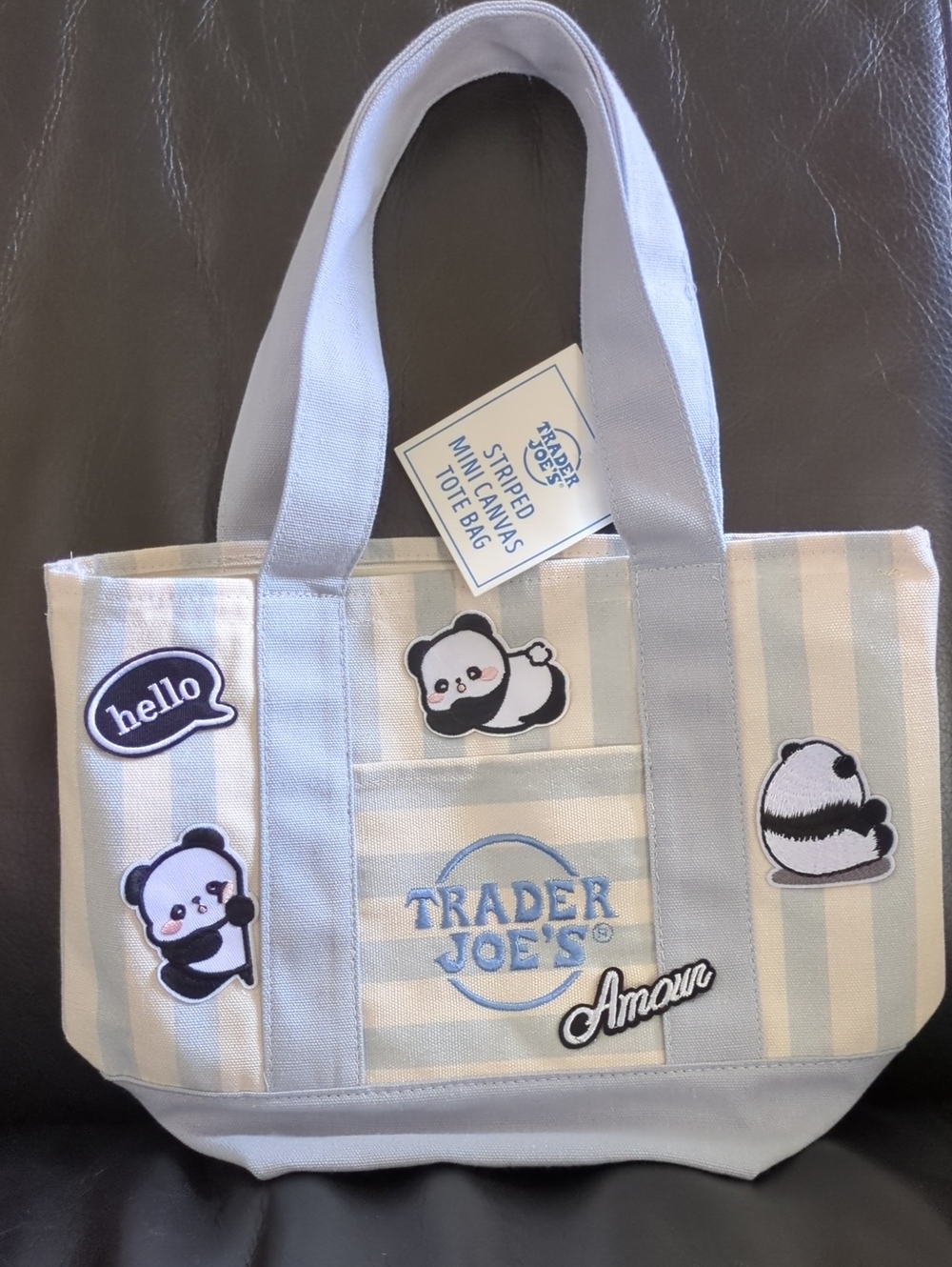 Trader Joe's Striped Mini Tote Bag - Light Blue  with Panda Patches and Zipper